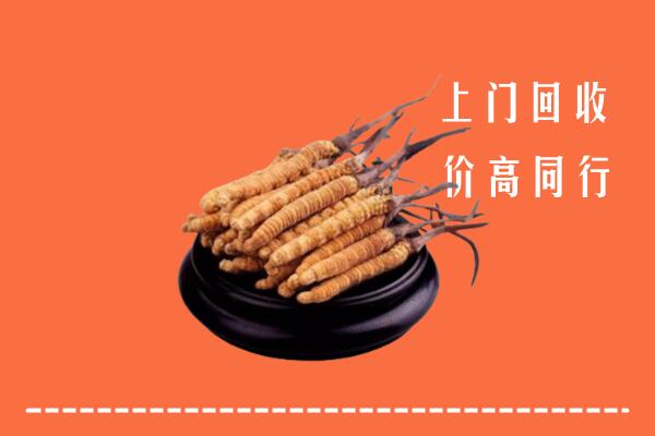 附近收购：株洲冬虫夏草回收多少钱每克